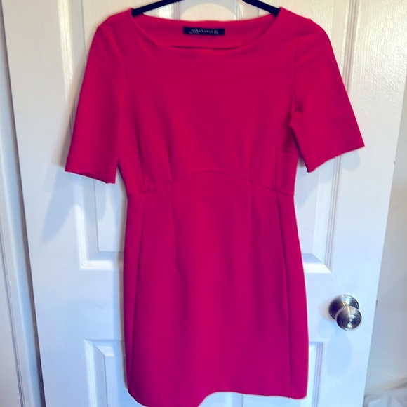 Gorgeous Zara Pink Dress - Picture 1 of 3